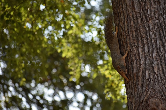 强者的内心 强者的内心