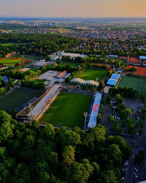 迷心中留下 迷心中留下