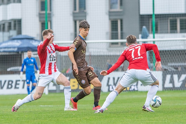 合作社模式 合作社模式