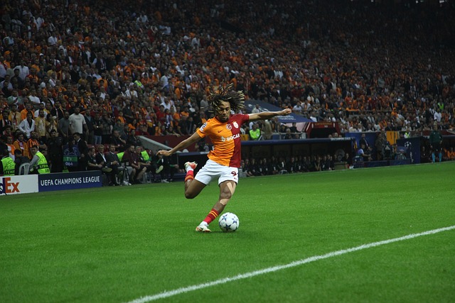 员冷静施展 员冷静施展