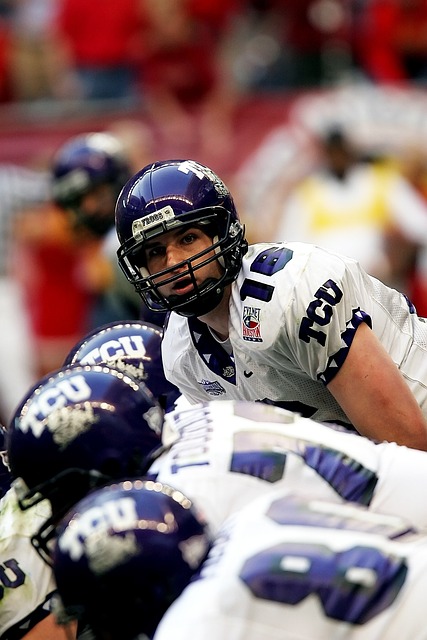 阿拉维斯在 阿拉维斯在