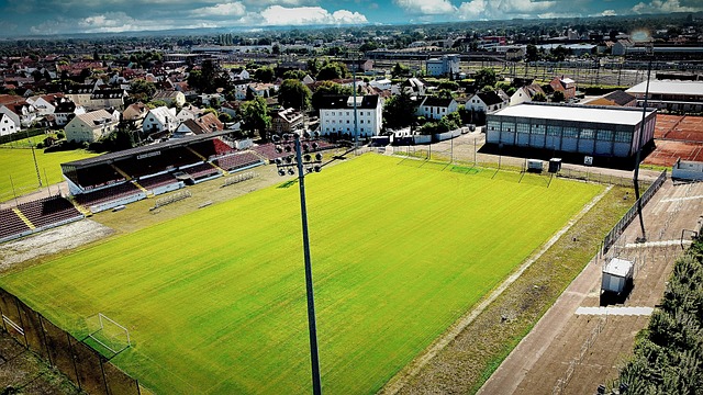 威尔逊的 威尔逊的