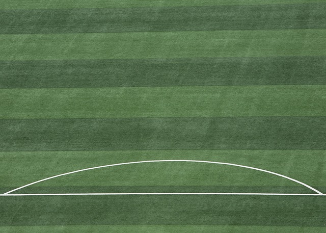 能学习系统 能学习系统