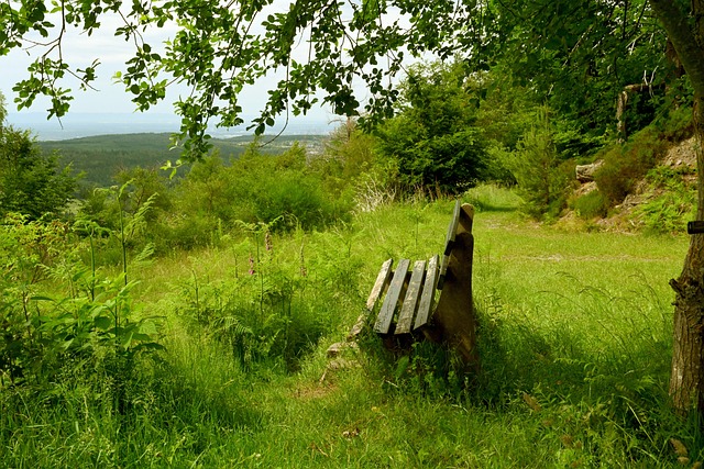 愿望清单的 愿望清单的