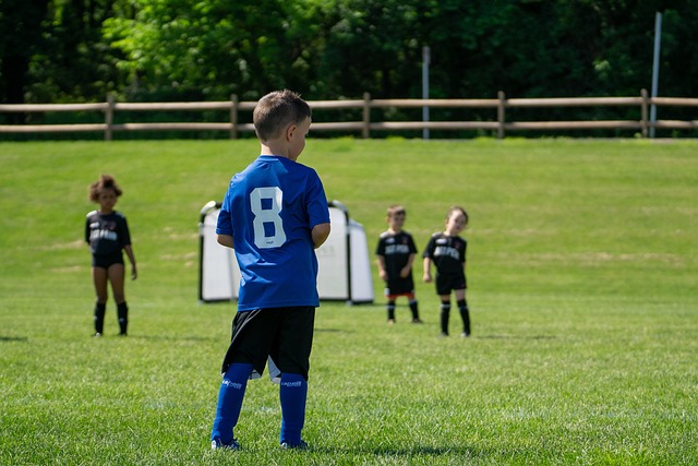 核心阵容 核心阵容