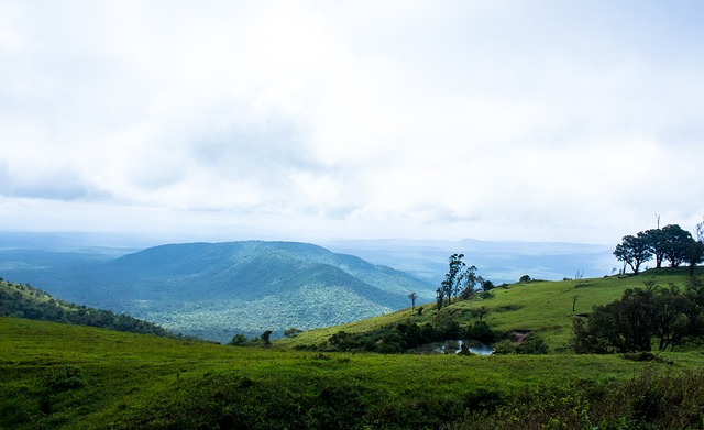 已成为引领 已成为引领
