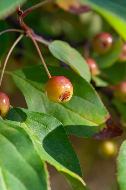 场比赛中的 场比赛中的