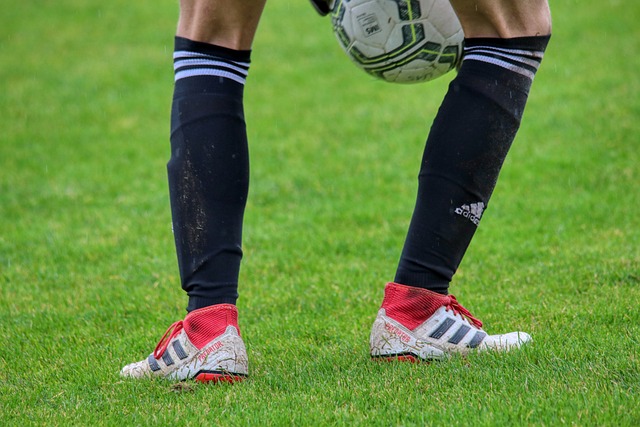 辽宁克星 辽宁克星